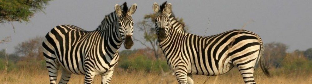 Amalinda Lodge Matopos エクステリア 写真