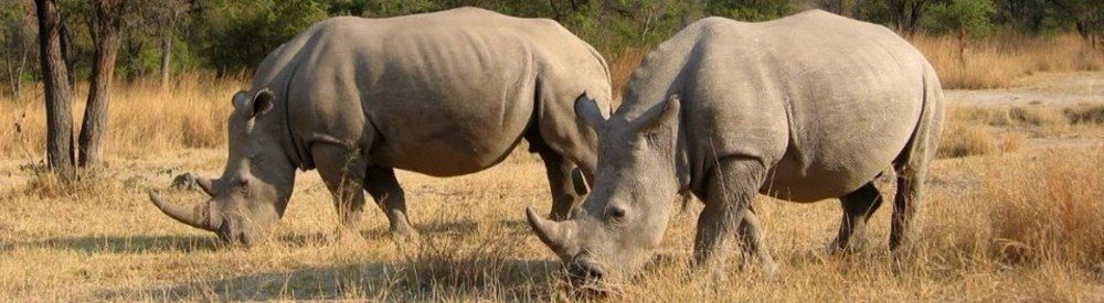 Amalinda Lodge Matopos エクステリア 写真